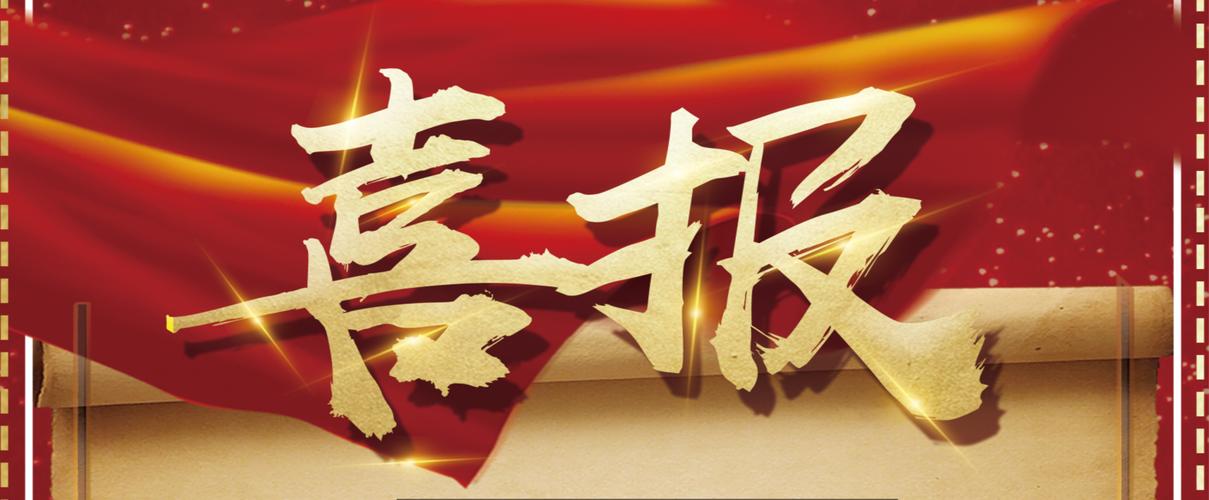 黑帽技术蜘蛛池快速收录